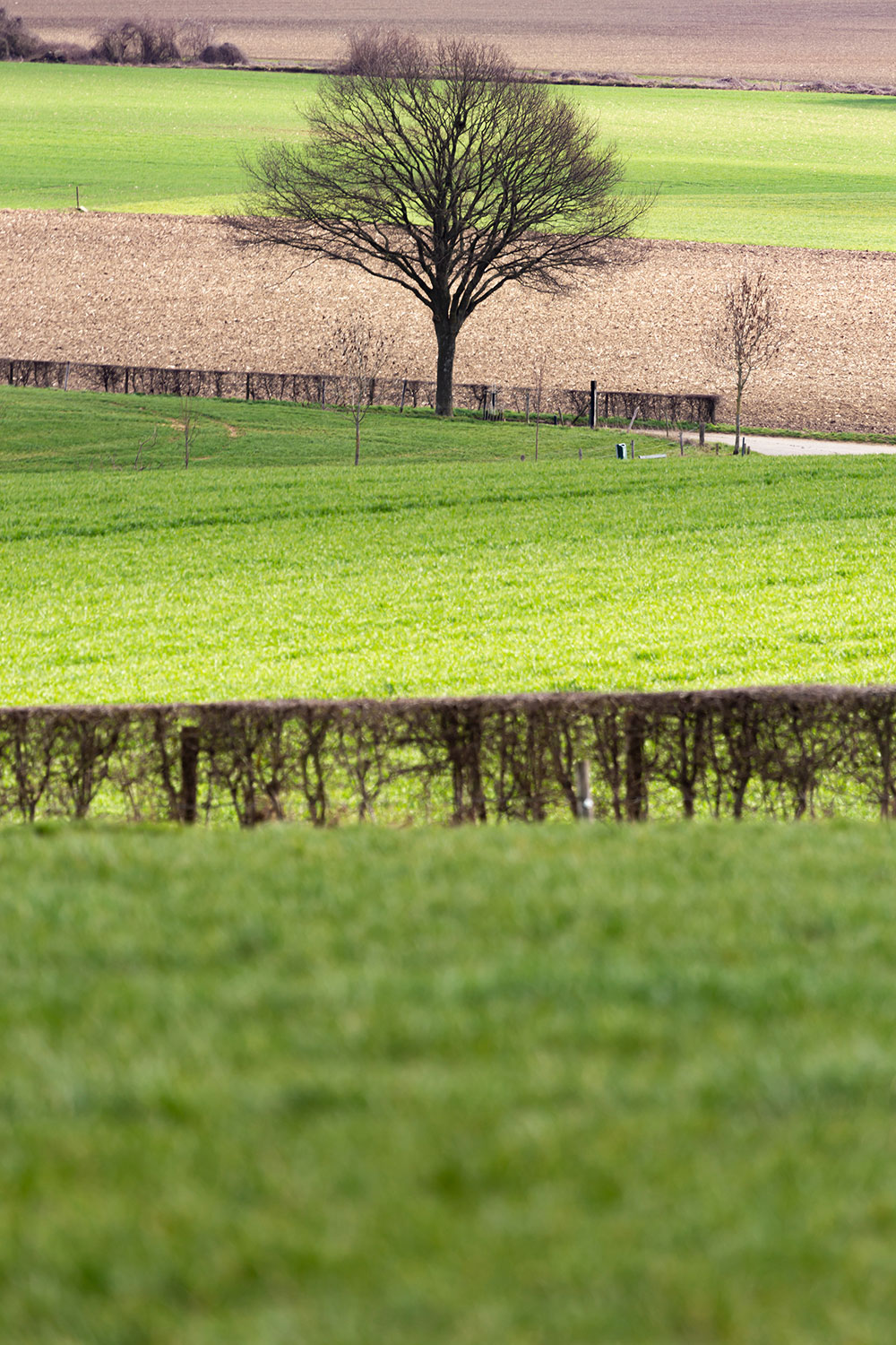 Afbeelding van natuur in omgeving